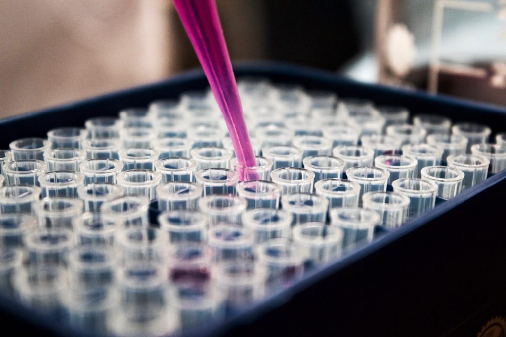 High phthalates are not endocrine disruptors